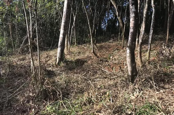 Terreno à venda, 1375 m² por R$ 250.000,00 - Jardim Cinco Lagos - Mairiporã/SP - Foto 2