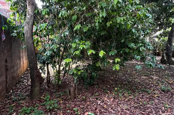 Terreno para venda,  Jardim Rosa De Franca, Guarulhos, em Área Urbana à -  232 m² -  Excelente Localização e Grande Potencial Construtivo