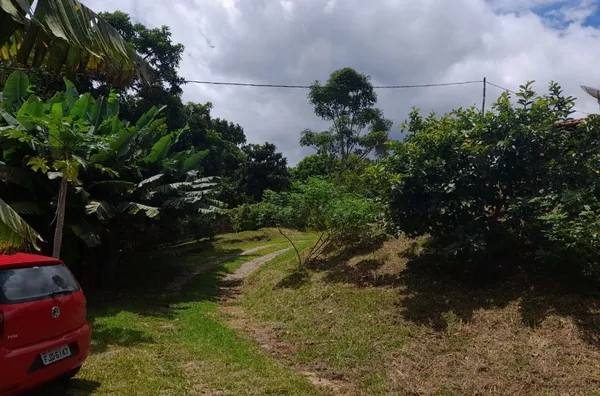 Chácara em Extrema  , 6000 metros com escritura - Foto 6