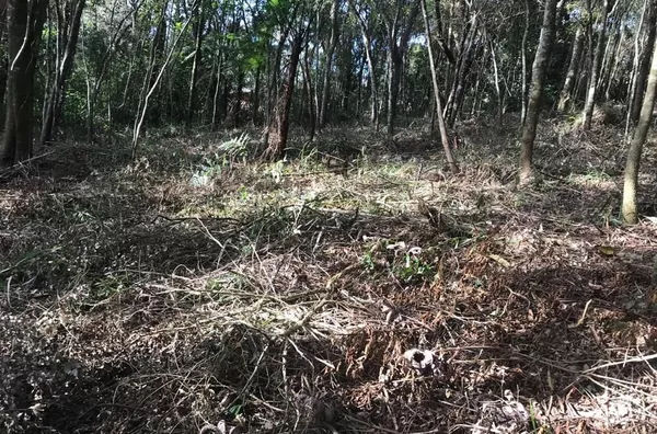 Terreno à venda, 1375 m² por R$ 250.000,00 - Jardim Cinco Lagos - Mairiporã/SP - Foto 3