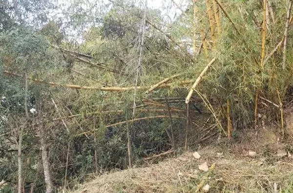 Terreno para alugar, 1434 m² por R$ 318.406,00/mês - Água Azul - Guarulhos/SP - Foto 5