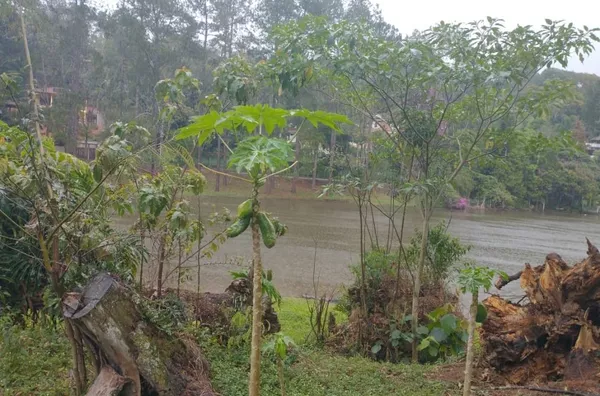 Jardim Cinco Lagos - Mairiporã/SP - Foto 4