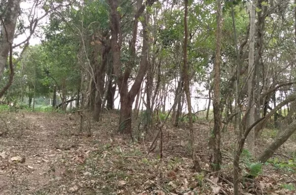 Chácara Parque São Pedro - Atibaia/SP - Foto 3