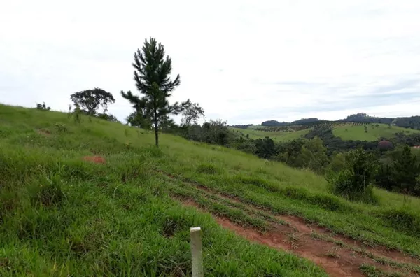 Campo Largo - Jarinu/SP - Foto 2