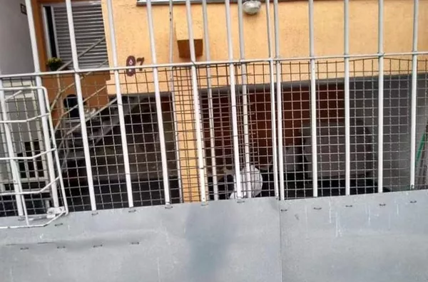 Sobrado com 3 dormitórios à venda, 100 m² por R$ 550.000 - Proximo ao Bosque Maia - Guarulhos/SP - Foto 6