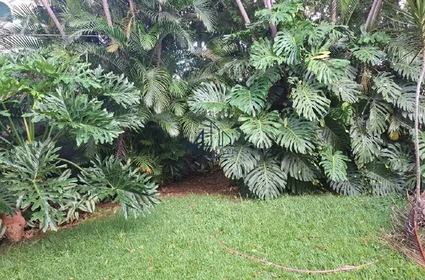 Sobrado para venda, 4 quarto(s),  Setor Sul, Goiânia
