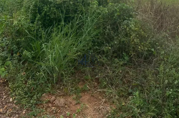 Lote 180m² - Aparecida Garden - Aparecida de Goiânia - GO