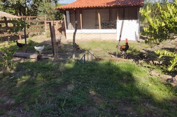 Array