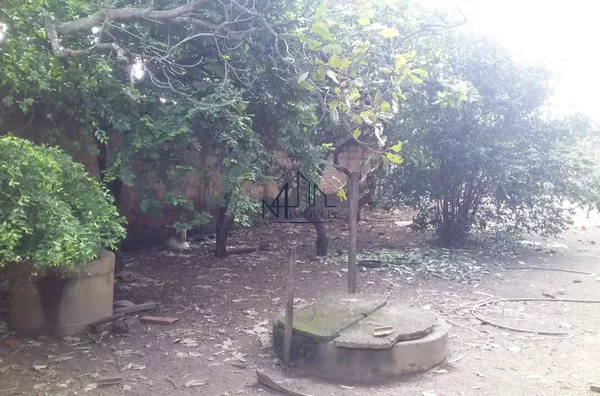 Lote 464m² - Vila Oliveira - Aparecida de Goiânia - GO - Foto 2