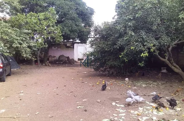 Lote 464m² - Vila Oliveira - Aparecida de Goiânia - GO - Foto 4