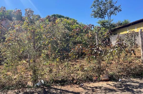 Lote de 378m² -  Jardim Cristal - Aparecida de Goiânia - GO - Foto 1
