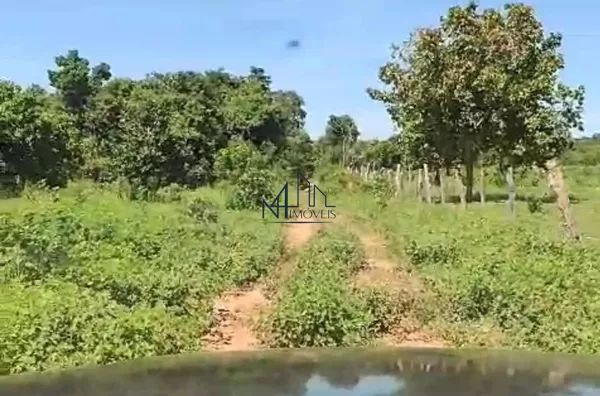 Fazenda 160 Alqueires - Bom Jardim -GO