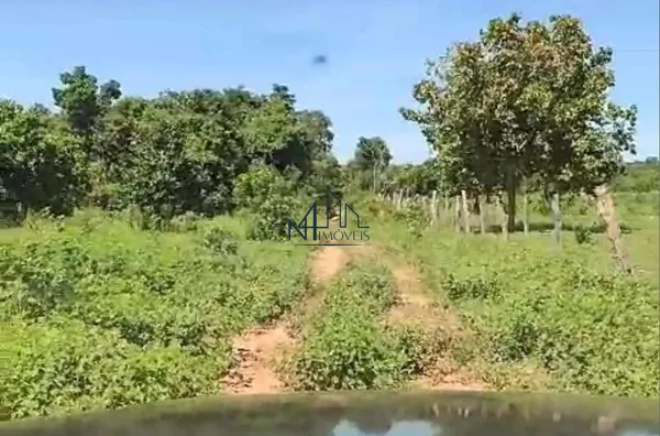 Fazenda 160 Alqueires - Bom Jardim -GO