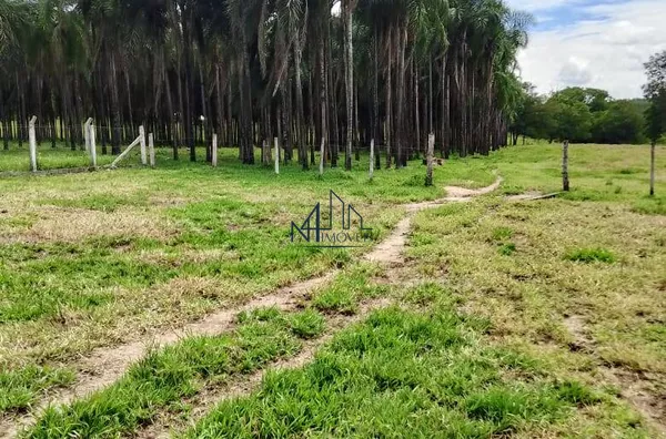 Array