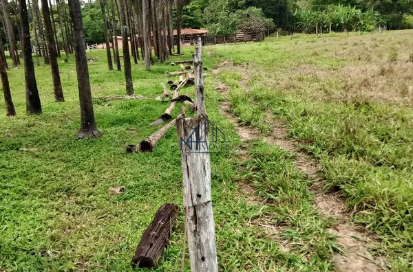 Array