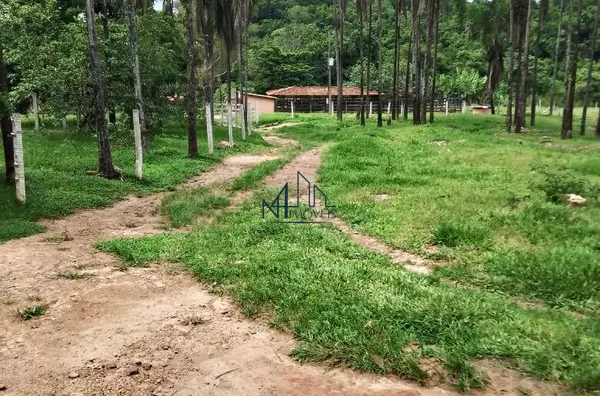 Array