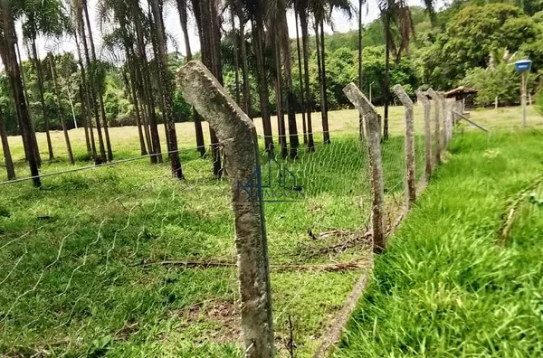 Array
