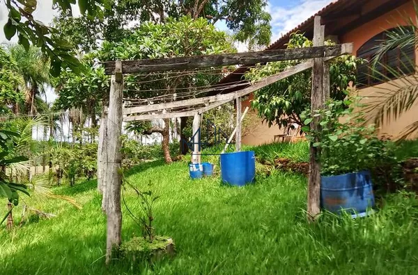 Fazenda 5 Alqueires - Petrolina - GO