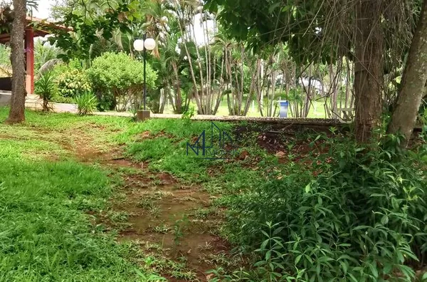 Array