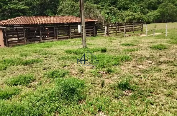 Array