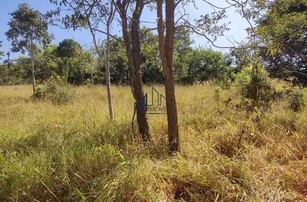 Chácara de 2 Alqueires - Hidrolândia - GO