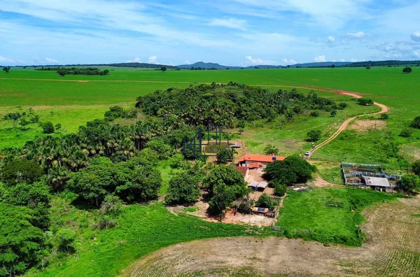 Fazenda 19 Alqueires - Município de Maripotaba - GO