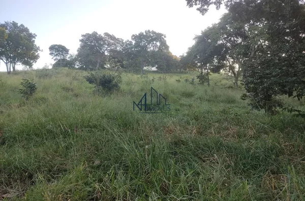 Fazenda 31 Alqueires - Hidrolândia - GO