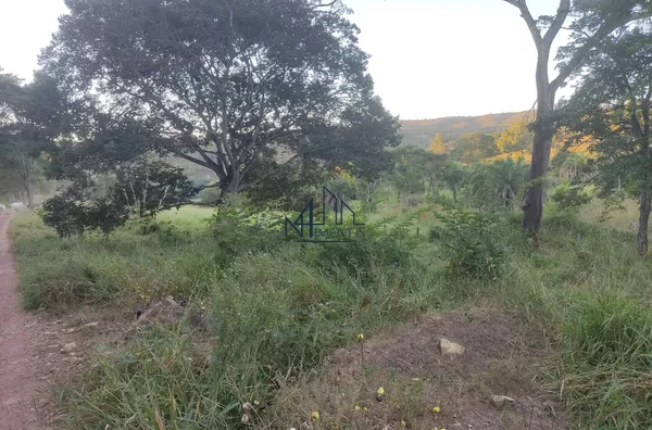 Fazenda 31 Alqueires - Hidrolândia - GO
