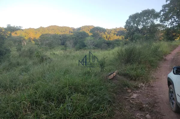 Fazenda 31 Alqueires - Hidrolândia - GO