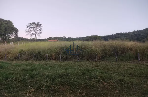 Array