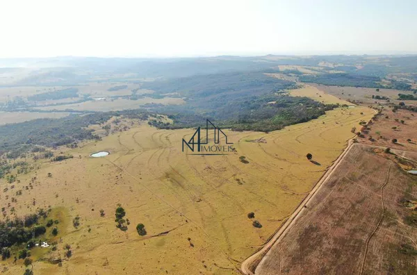 Fazenda 45 Alqueires - Indiara - GO