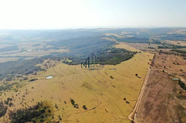 Fazenda 45 Alqueires - Indiara - GO