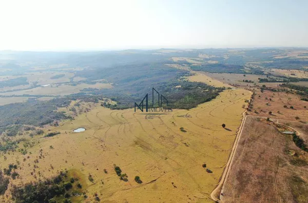 Fazenda 45 Alqueires - Indiara - GO