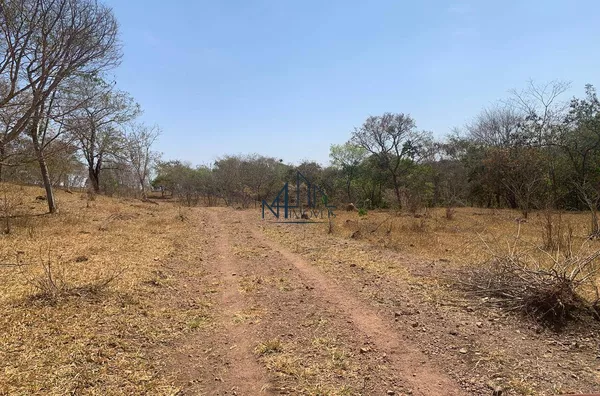 Fazenda 22 Alqueires - Hidrolândia - GO