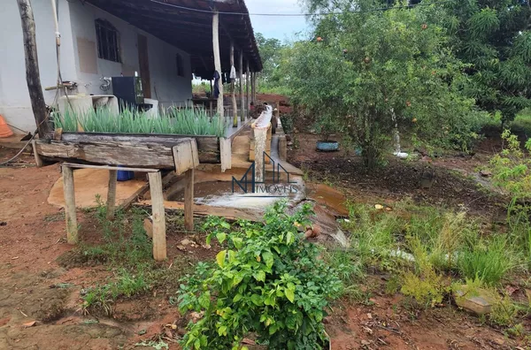 Fazenda 50 Alqueires - Caldas Novas - GO