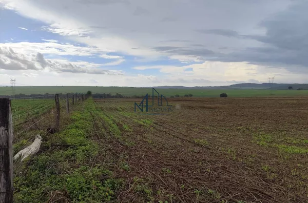 Fazenda 50 Alqueires - Caldas Novas - GO