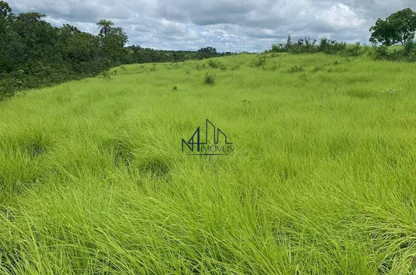 Array