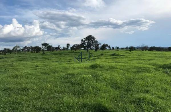 Área de 425 Alqueires - Natividade - Tocantins