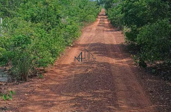 Área de 533 Alqueires - Palmeirante - TO