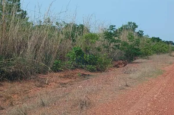 Área de 533 Alqueires - Palmeirante - TO