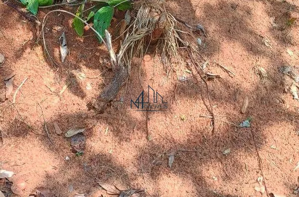 Array