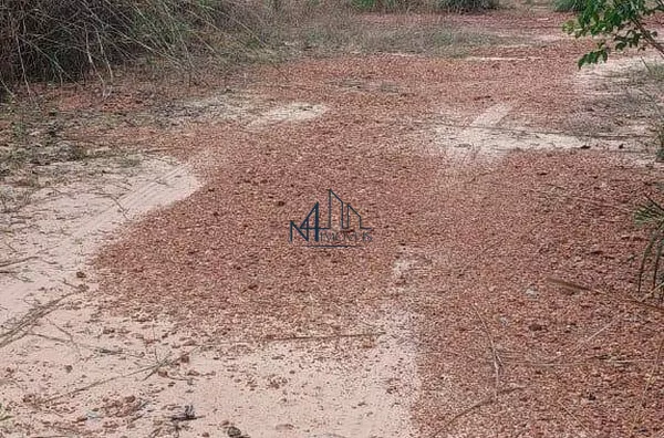 Array