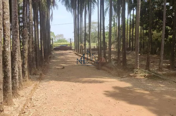 Chácara 4.100m² - Bairro Itapoã - Aparecida de Goiânia - GO - Foto 3