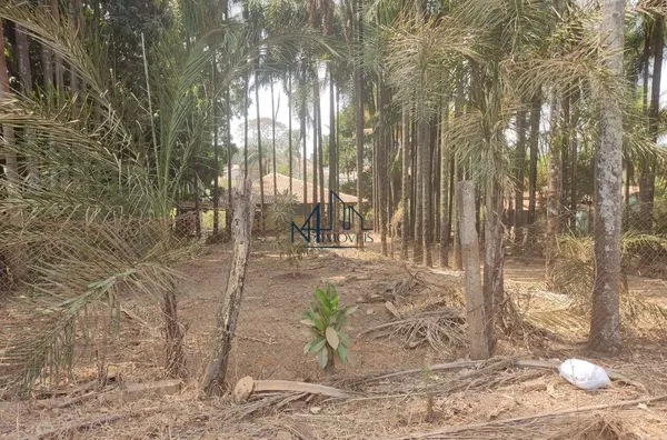 Chácara 4.100m² - Bairro Itapoã - Aparecida de Goiânia - GO - Foto 4