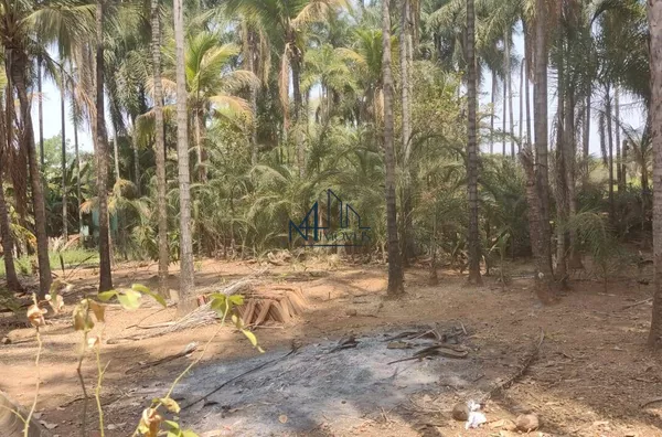 Chácara 4.100m² - Bairro Itapoã - Aparecida de Goiânia - GO - Foto 5
