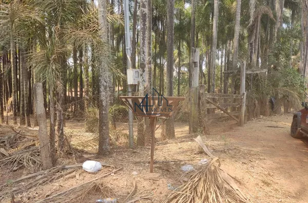 Chácara 4.100m² - Bairro Itapoã - Aparecida de Goiânia - GO - Foto 6