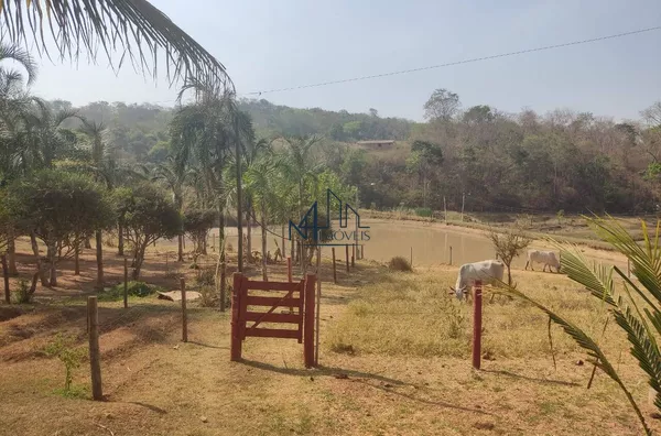 2 Alqueires - Nova Fátima - Hidrolândia - GO - Foto 5