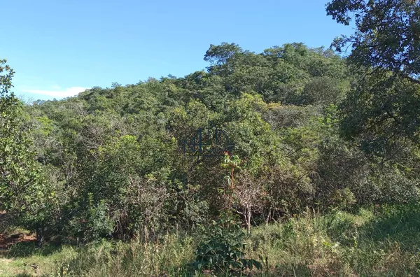 Fazenda 7 Alqueires - Hidrolândia - GO