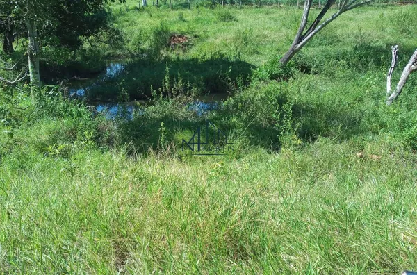Fazenda 7 Alqueires - Hidrolândia - GO