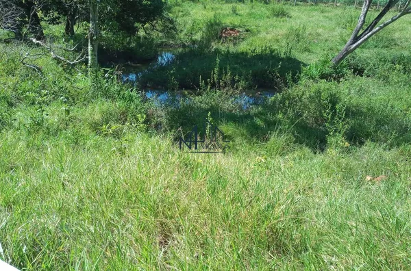 Fazenda 7 Alqueires - Hidrolândia - GO